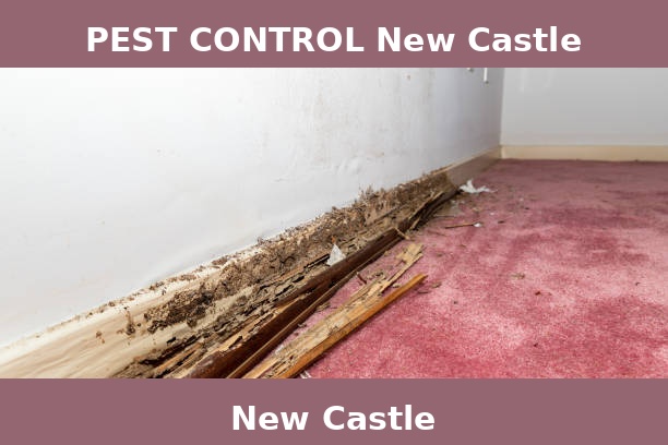 PEST CONTROL New Castle